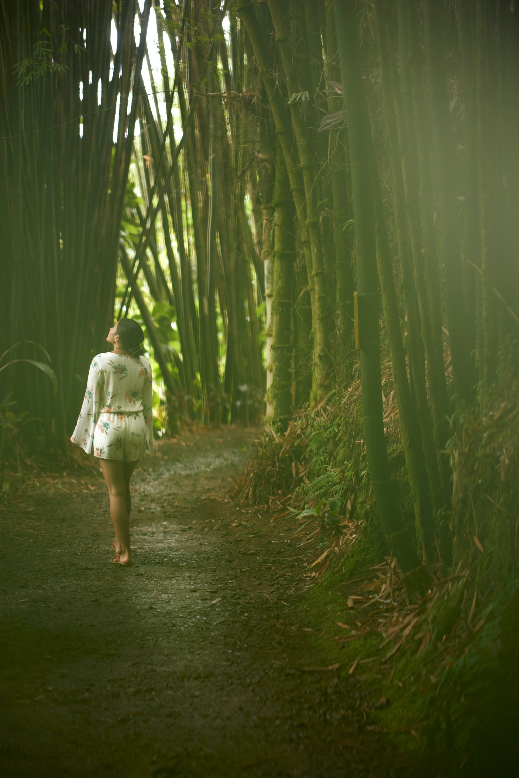 woman walking through a bamboo forest