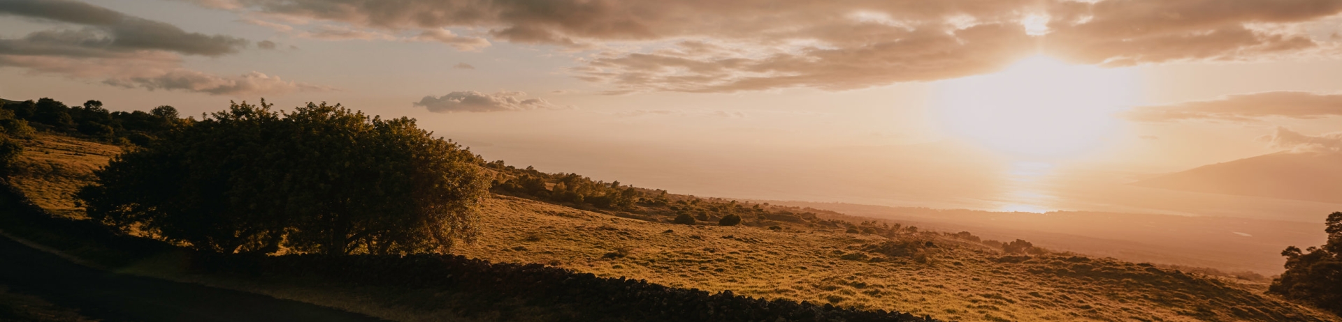 a couple driving in an old car at sunset