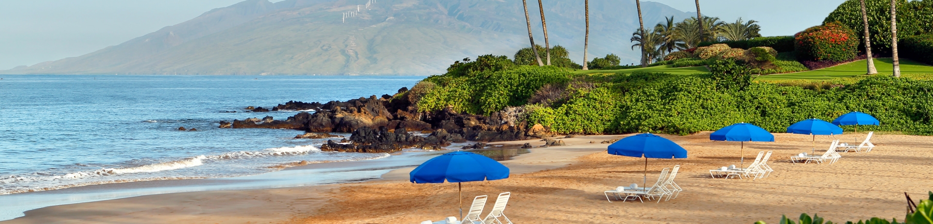 lounge chairs on the beach