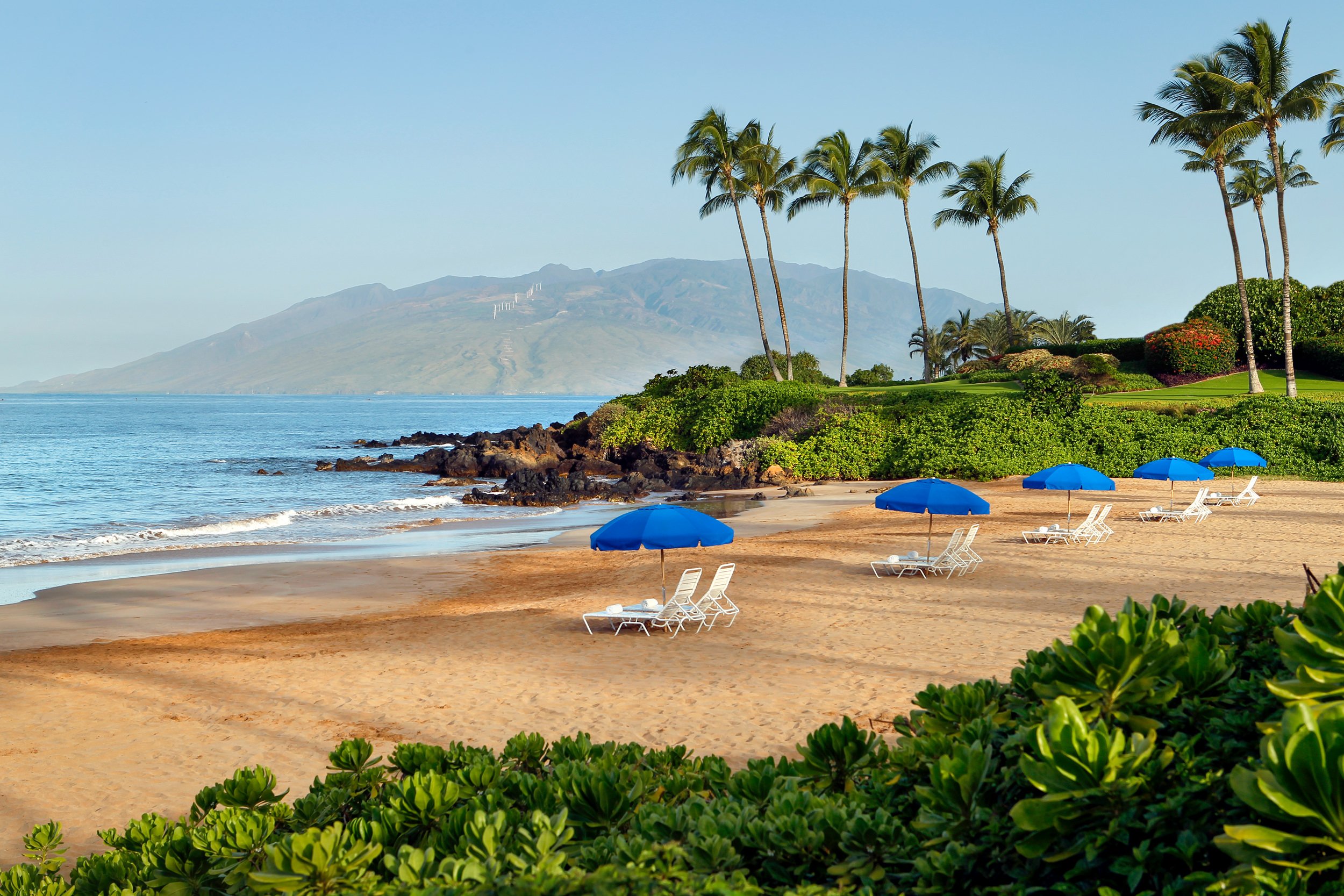 lounge chairs on the beach