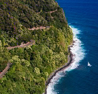 Aerial of road along the coast