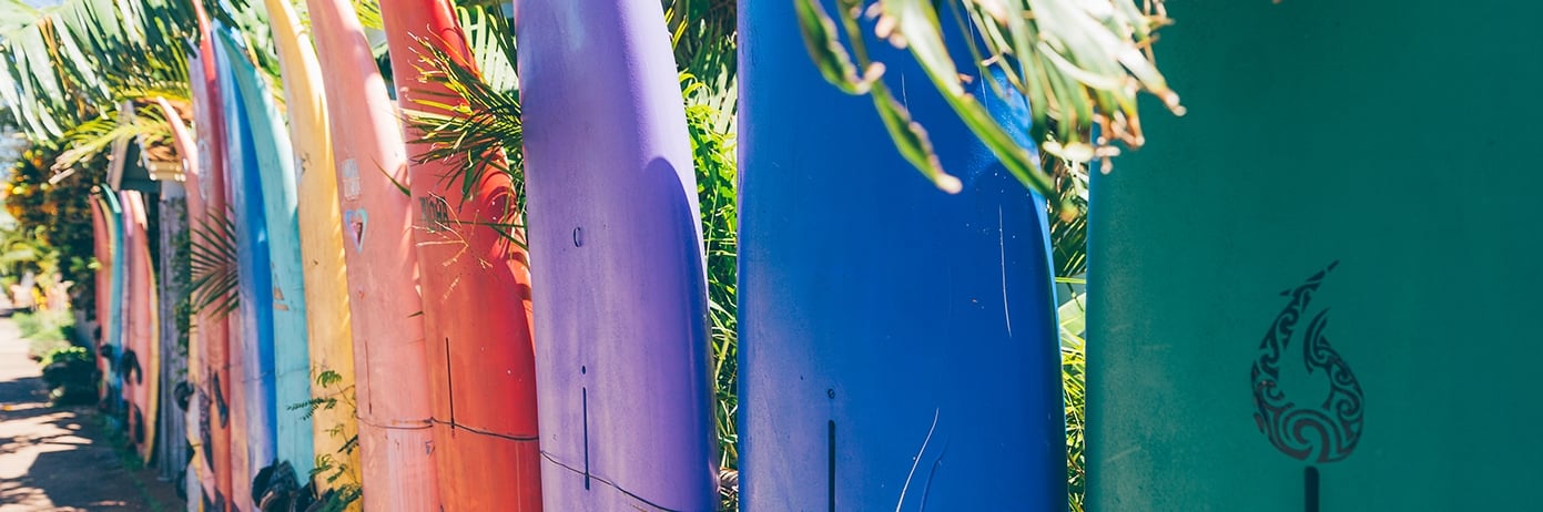 surf boards in a row
