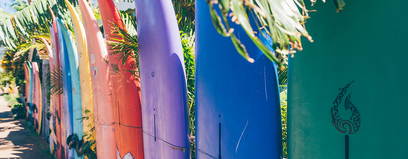 surf boards in a row