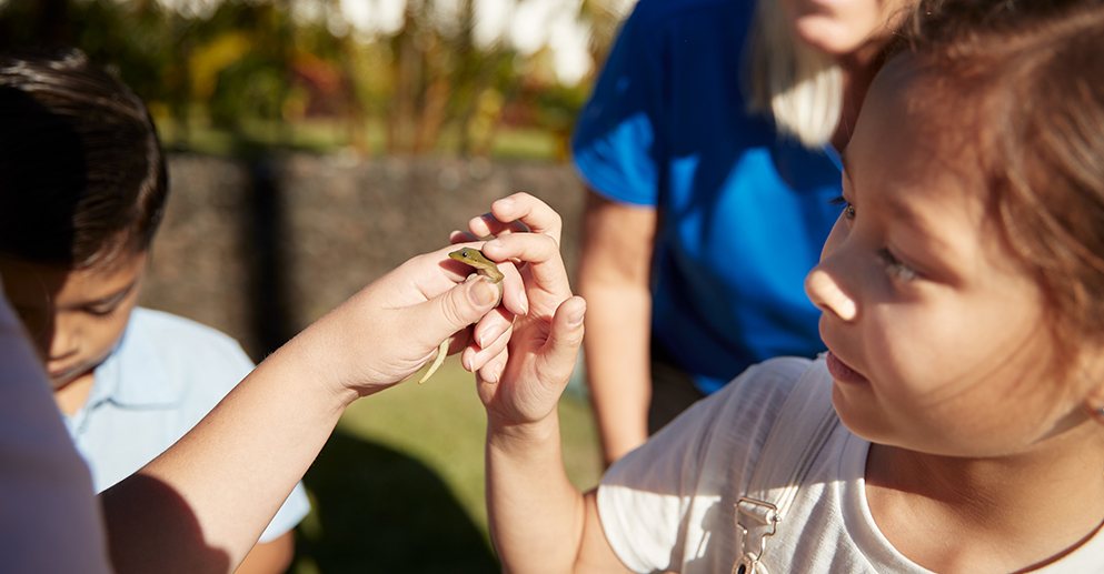 child petting a lizard