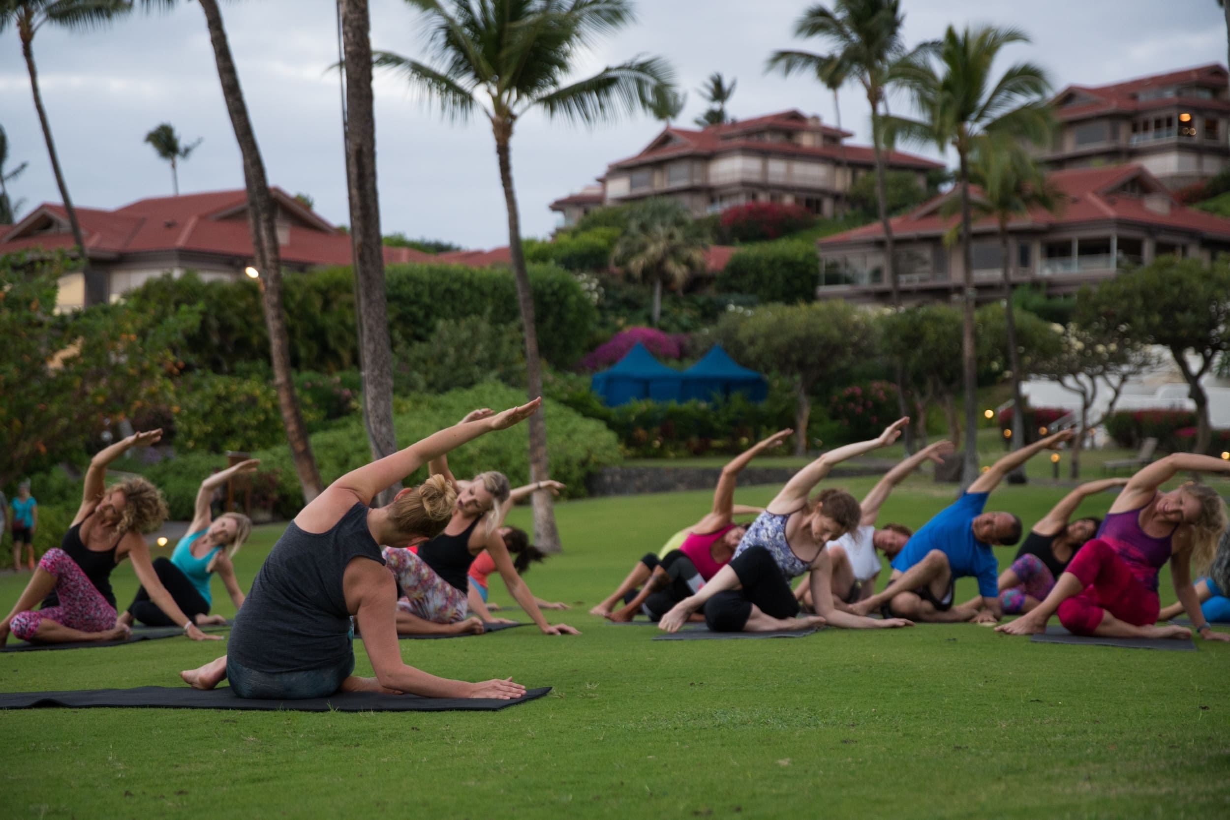 people stretching on the lawn
