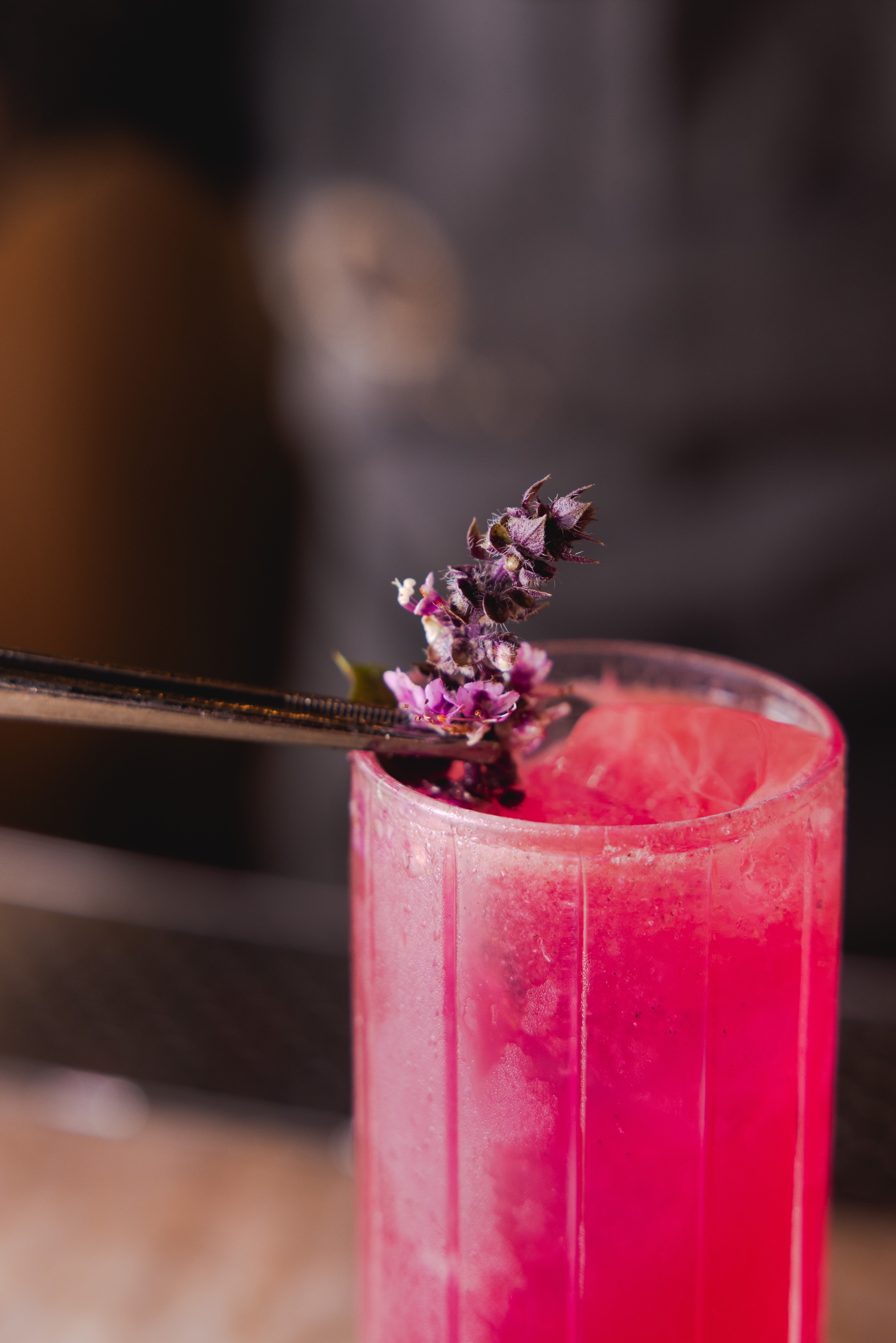 small town girl cocktail at pilina